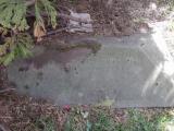 image of grave number 569988